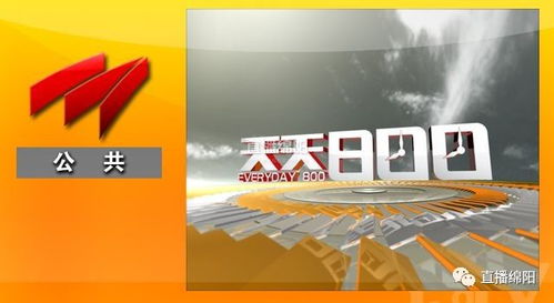 喜迎十九大，主播在行動(dòng)——廣播電視節(jié)目制作經(jīng)營(yíng)的創(chuàng)新與實(shí)踐